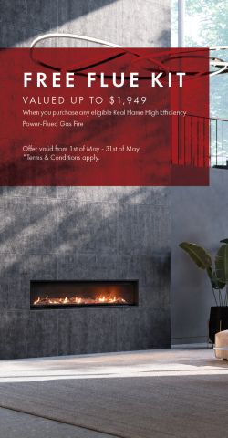 Free Flue Promotion 2022