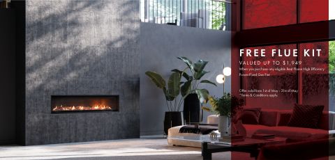 Free Flue Promotion 2022