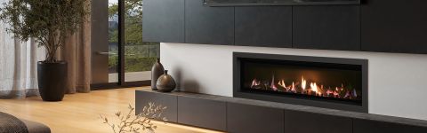 Free Flue Promotion 2025